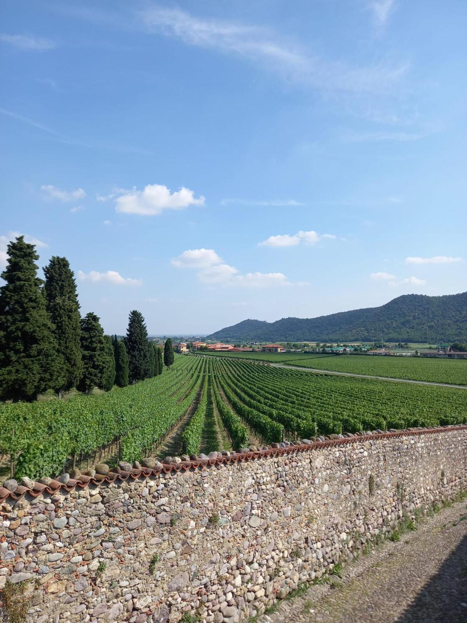 شقة La Corte Del Bona - Vicino Alle Cantine E A Circa 15 Minuti Dal Lago Di Iseo - إيربوسكو المظهر الخارجي الصورة